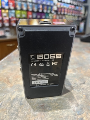 Store Special Product - BOSS - RV-6